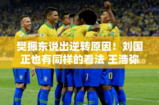 樊振东说出逆转原因！刘国正也有同样的看法 王浩弥补了遗憾 刘国梁激动不已